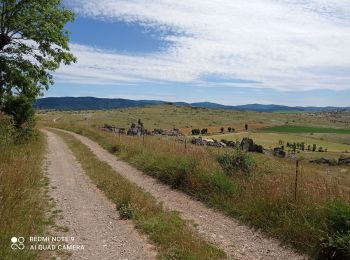 Tocht Stappen Fraissinet-de-Fourques - 48  sommet du Gargo 13/07/24 - Photo