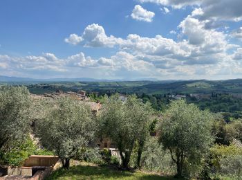 Tocht sport San Gimignano - Lucques - Photo