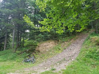 Trail Mountain bike Seyssins - Les Hauts du Peuil en VTTAE  - Photo