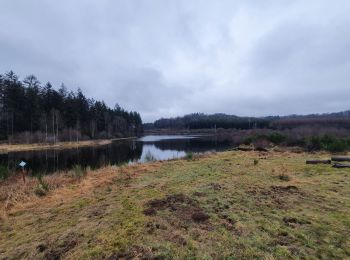 Tour Wandern Florenville - rando les epioux 3-02-2022 - Photo