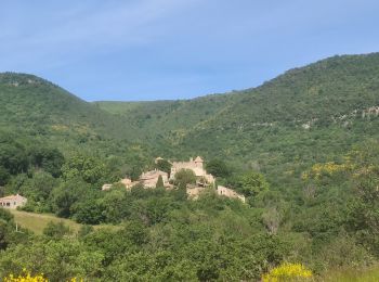 Excursión Marcha nórdica Olmet-et-Villecun - Villecun Lavalette  - Photo