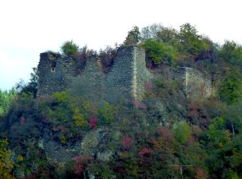 Tour Zu Fuß Argenschwang - Argenschwanger Rosenburgweg - Photo