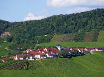 Tocht Te voet Vaihingen an der Enz - Roter Punkt, Häfnerhaslach - Langmantel - Photo