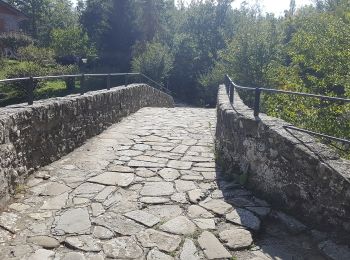Trail On foot Bagno di Romagna - IT-149 - Photo