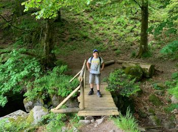 Tour Wandern Mittlach - Lac altenweiher - Photo