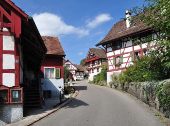 Tour Zu Fuß Höri - Höriberg - Glattfelden - Photo