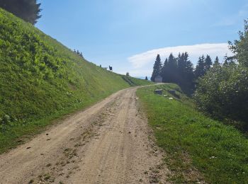 Tocht Stappen Presle - Le chapotet au départ de Prodin - Photo