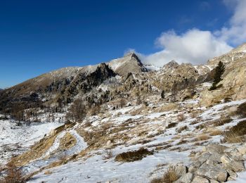 Tour Schneeschuhwandern Saint-Martin-Vésubie - Col de Fremamorte hiver - Photo