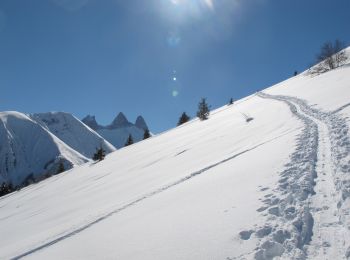 Trail Touring skiing Saint-Jean-d'Arves - Montzard - Ski - Photo