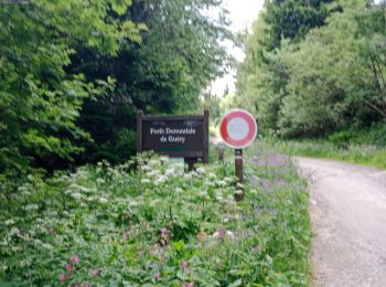 Trail Nordic walking Murat-le-Quaire - départ de la Bourboule le Puy gros le lac guercy guéry retour par le Mont-Dore - Photo