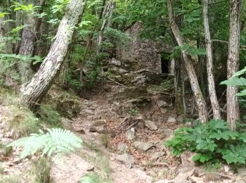 Trail Walking Val-d'Aigoual - Cascade d'Orgon-15-06-22 - Photo