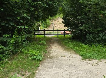 Trail Walking Saint-Hilaire - Saint-Hilaire - Géosite et abri gravé - Photo