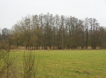 Tour Zu Fuß Nettetal - Rundweg A3 Krickenbecker Seen - Photo