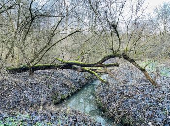 Tour Wandern Sint-Truiden - La réserve naturelle Egoven à Saint-Trond - Photo