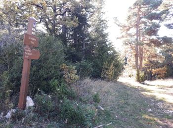 Trail Walking Andon - Pont du loup, Andon Castellaras - Photo