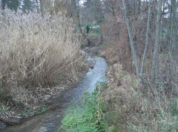 Tocht Te voet Karlstein am Main - Kulturweg Karlstein - Photo