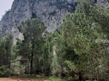 Trail Walking Calp - Sierra de Olta - Photo