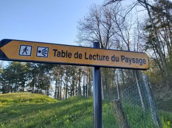 Tocht Stappen Pollionnay - Larny, en face de Sourcier, Croix du Ban - Photo