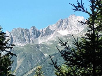 Randonnée A pied La Léchère - Valmorel-juillet 2022 - Photo