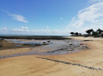 Tocht Hybride fiets Noirmoutier-en-l'Île - Noirmoutier Velo - Photo