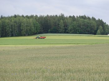 Randonnée A pied Marktredwitz - DE-2 - Photo