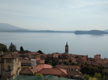 Tocht Stappen Stresa - Stresa-Belgirate-lac Majeur  - Photo