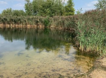 Tour Wandern Lommel - Le Sahara de Lommel - Photo