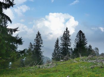 Tocht Te voet Ramsau bei Berchtesgaden - Wanderweg 66 - Photo