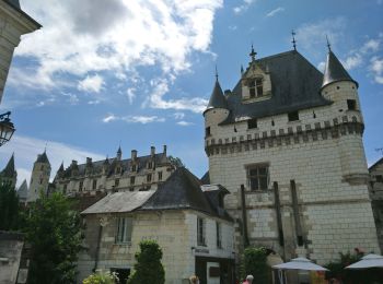 Tour Wandern Chambourg-sur-Indre - Chambourg-sur-Indre - l'Isle Auger Loches GR46 - 26.7km 325m 5h40 (30mn) - 2021 07 24 - Photo