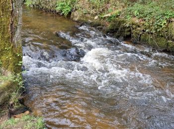 Tocht Stappen Vannes - Keresquel - Photo