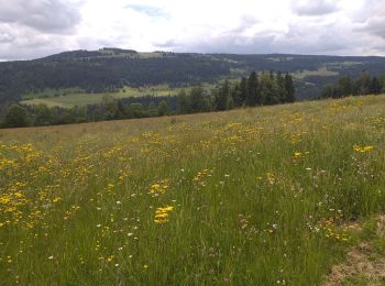 Tocht Stappen Villers-le-Lac - Le Pisoux - Photo