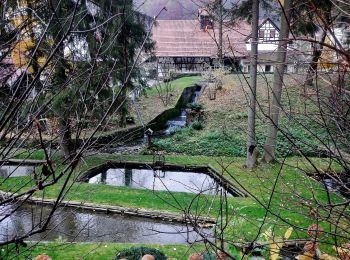 Percorso A piedi Bad Urach - Hochbergsteig - Photo