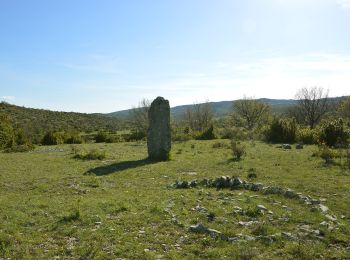 Percorso A piedi Blandas - Les mégalithes du Causse de Blandas - Photo