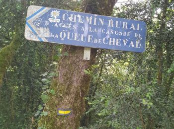 Tour Wandern Saint-Claude - la cascade de la queue de  cheval  - Photo