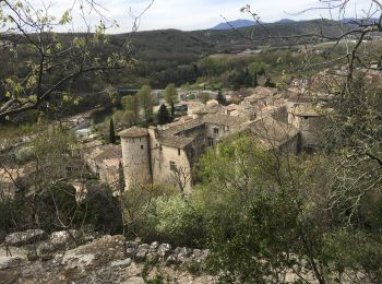 Tour Wandern Vogüé - Voguë - Serre Bastel – Les Chazes - Photo