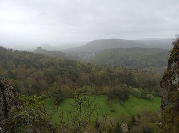 Trail Walking Murol - Murol - Lac Chambon 4.5.24 - Photo