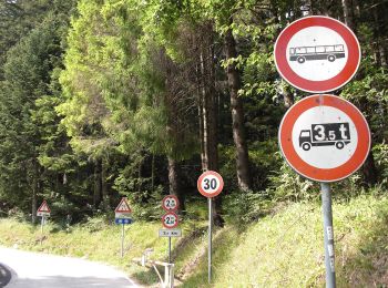 Trail On foot Levico Terme - Senter del Menador - Photo