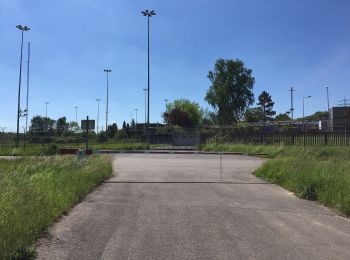 Tour Zu Fuß Binau - Rundwanderweg Binau 1: Dauchstein-Weg - Photo