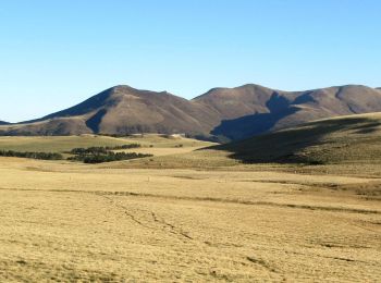 Trail Walking Saulzet-le-Froid - Saulzet_le_Froid_Baladou - Photo