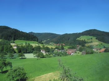 Trail On foot Gutach (Schwarzwaldbahn) - Gutach 5: Baumpfad - Photo