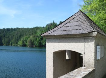 Tour Zu Fuß Edelschrott - AT-S14 - Photo