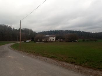 Tour Zu Fuß Buchen (Odenwald) - Rundwanderweg Bödigheim 1: Glasenberg-Weg - Photo