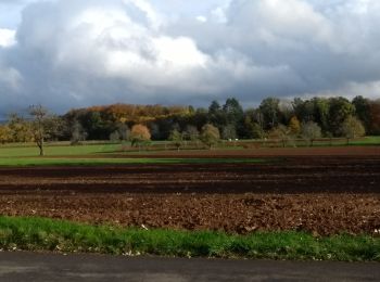 Tour Elektrofahrrad Fougerolles-Saint-Valbert - vélo 26-10-20 Predurupt - Photo