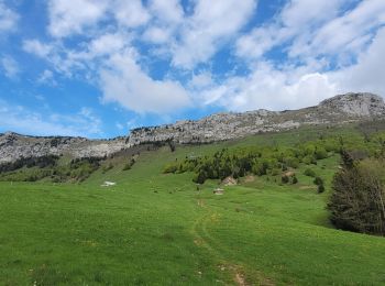 Trail Walking Doucy-en-Bauges - 250524 Le Trelod et la Dents des Portes - Photo