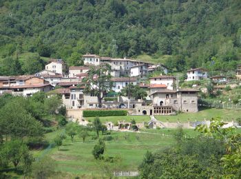 Tocht Te voet Caino - Caino (Villa Sera) - Santuario di Conche - Colle di Sant'Eusebio - Photo