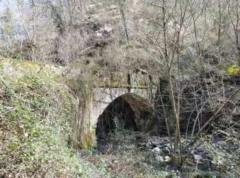 Trail On foot Cantagallo - Sentiero CAI 38A - Sez. Prato - Photo