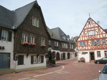 Tour Zu Fuß Eltville am Rhein - Weinwanderweg Hattenheim - Photo