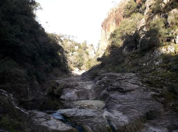Trail Walking Callas - 83 Gorges de Pennafort  - Photo