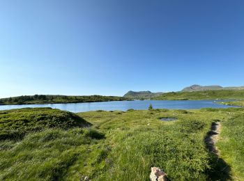 Trail Walking Livet-et-Gavet - Lac du Fourchu  - Photo