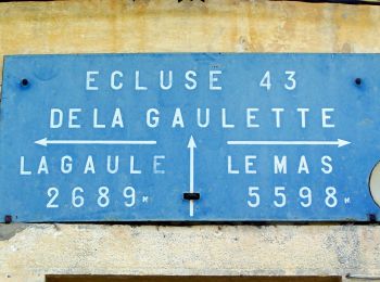 Percorso A piedi Calonges - Calonges, balade dans la plaine de la Garonne - 11.8 km - Photo